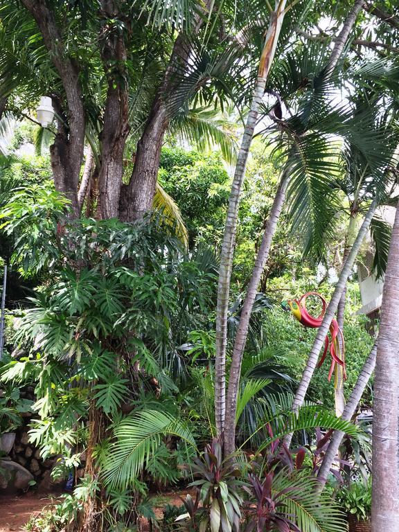 Villa Costa Chica Comodisimo Piscina Gigante Jardines Akapulko Dış mekan fotoğraf